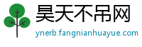 昊天不吊网